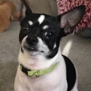 Meet your Posher, Tammy